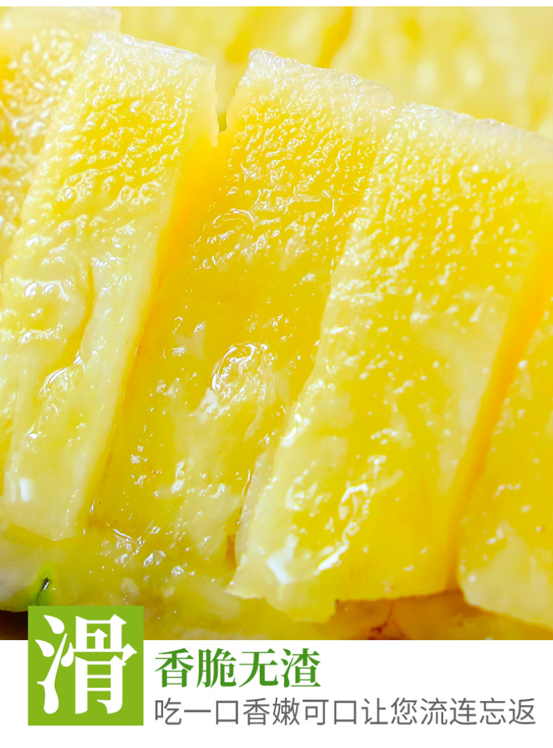 一件代发海南香水凤梨当季现摘现发供应电商各大平台非菠萝