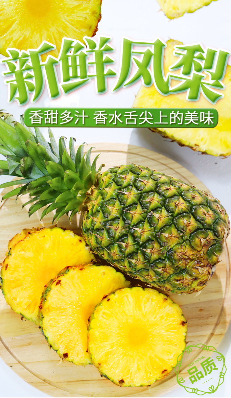 专业供应链一件代发海南芒果凤梨非菠萝当季时令水果现摘现