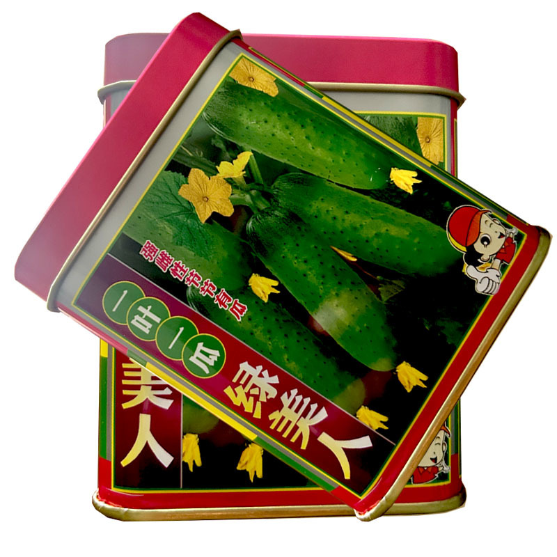 绿美人强雌水果黄瓜种子一叶一瓜浅绿肉大田基地品种