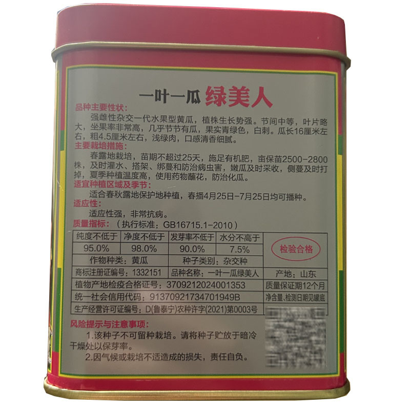 绿美人强雌水果黄瓜种子一叶一瓜浅绿肉大田基地品种