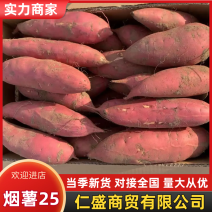 河北红薯烟薯25大量现货供应，软糯香甜品质保证，视频看货