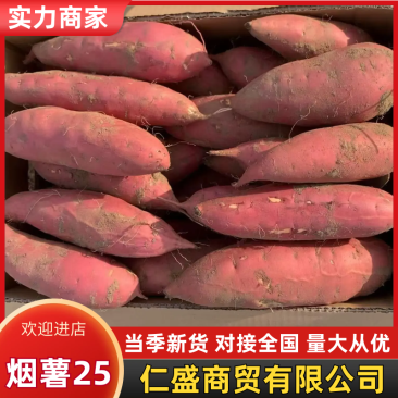 河北红薯烟薯25大量现货供应，软糯香甜品质保证，视频看货