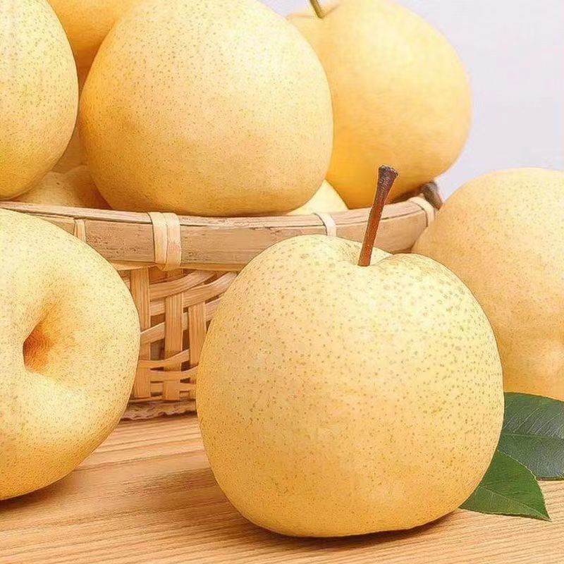【一件代发】安徽砀山酥梨顺丰包邮支持各大电商平台代发