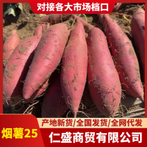 烟薯25河北红薯产地一手货源，规格齐全，对接电商市场批发