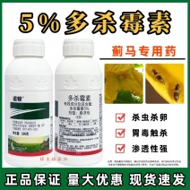 贵合诺顿5%多杀霉素悬浮剂节瓜蓟马专用药农药杀虫剂