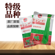 粒粒金958高端长豆角种子绿条豇豆种籽翠绿色大棚露天基地