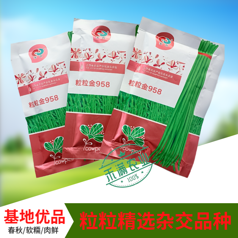 粒粒金958高端长豆角种子绿条豇豆种籽翠绿色大棚露天基地