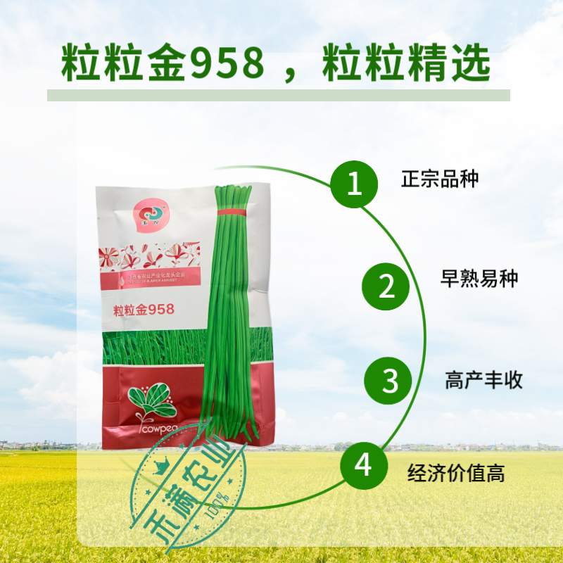 粒粒金958高端长豆角种子绿条豇豆种籽翠绿色大棚露天基地