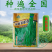 粒粒金17-1绿条特长豆角摘不败高产豇豆种子春秋种蔬菜四