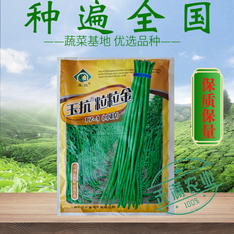 粒粒金17-1绿条特长豆角摘不败高产豇豆种子春秋种蔬菜四