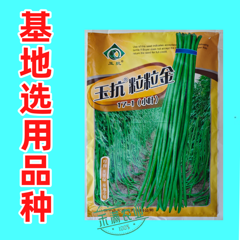 粒粒金17-1绿条特长豆角摘不败高产豇豆种子春秋种蔬菜四