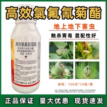 10%高效氯氟氰菊酯农药杀虫剂蚜虫菜青虫食心虫地蛆蝼蛄等