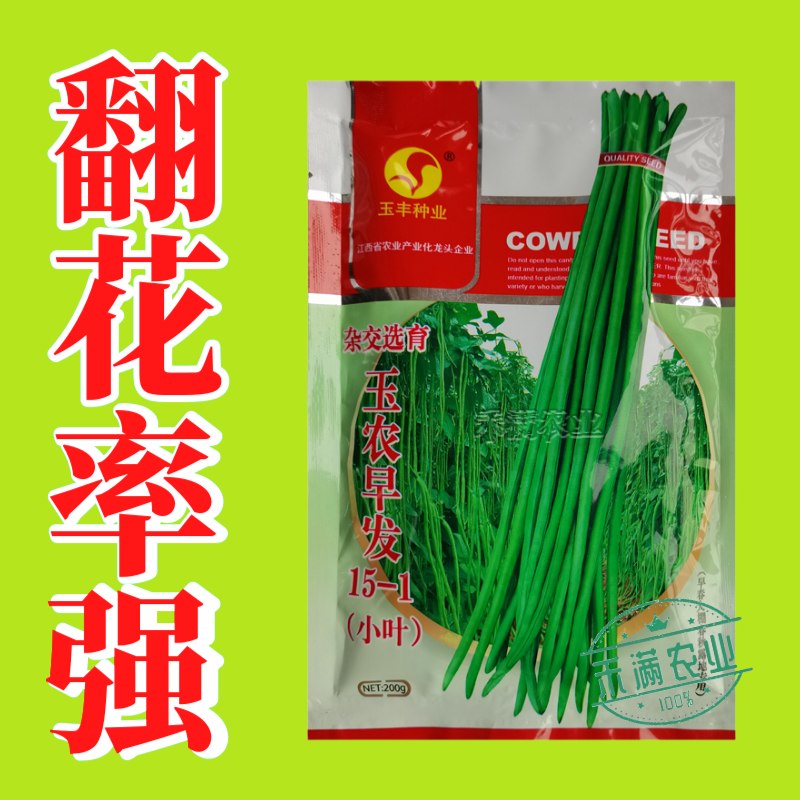 玉农早发豆角种子绿条豇豆翠绿色长豆角大棚露天基地蔬菜种子
