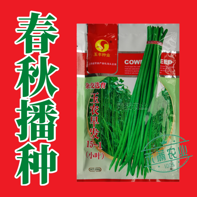 玉农早发豆角种子绿条豇豆翠绿色长豆角大棚露天基地蔬菜种子