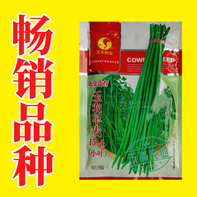 玉农早发豆角种子绿条豇豆翠绿色长豆角大棚露天基地蔬菜种子