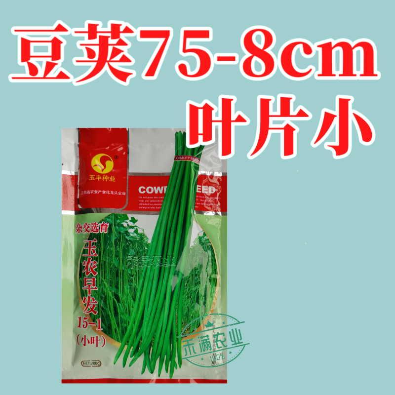玉农早发豆角种子绿条豇豆翠绿色长豆角大棚露天基地蔬菜种子
