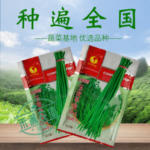 玉农早发豆角种子绿条豇豆翠绿色长豆角大棚露天基地蔬菜种子