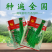 玉农早发豆角种子绿条豇豆翠绿色长豆角大棚露天基地蔬菜种子