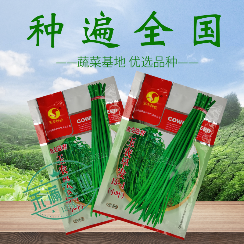 玉农早发豆角种子绿条豇豆翠绿色长豆角大棚露天基地蔬菜种子