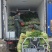 芹菜质量上乘，全国代收代发对接商超电商市场品批发，欢迎电联