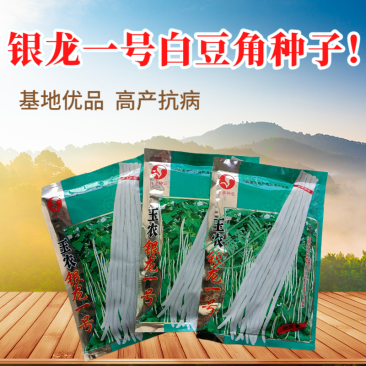 银龙一号白豆角种子白豇豆种籽春夏秋四季农家白早熟高产蔬菜