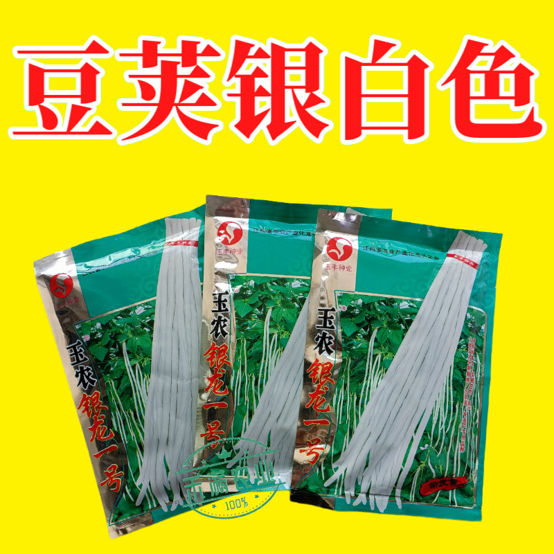 银龙一号白豆角种子白豇豆种籽春夏秋四季农家白早熟高产蔬菜