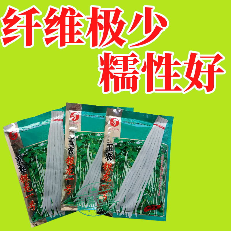 银龙一号白豆角种子白豇豆种籽春夏秋四季农家白早熟高产蔬菜
