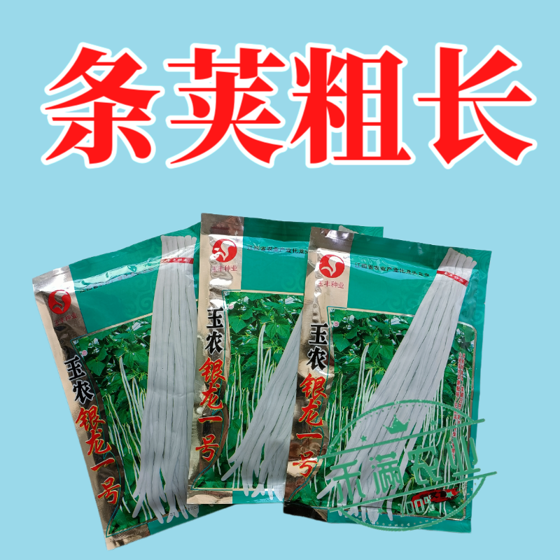 银龙一号白豆角种子白豇豆种籽春夏秋四季农家白早熟高产蔬菜