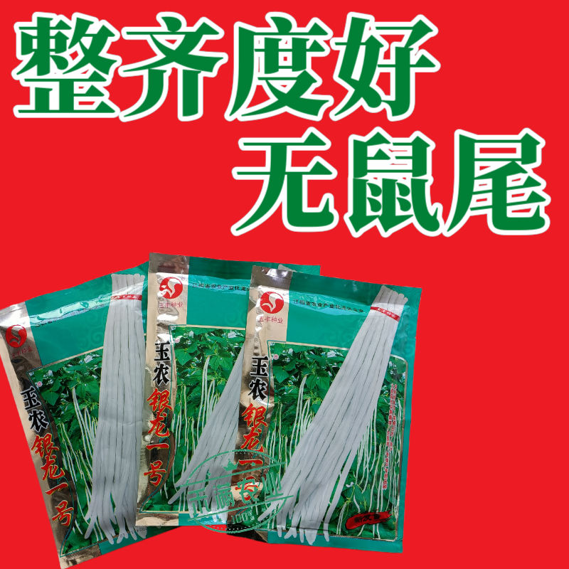 银龙一号白豆角种子白豇豆种籽春夏秋四季农家白早熟高产蔬菜