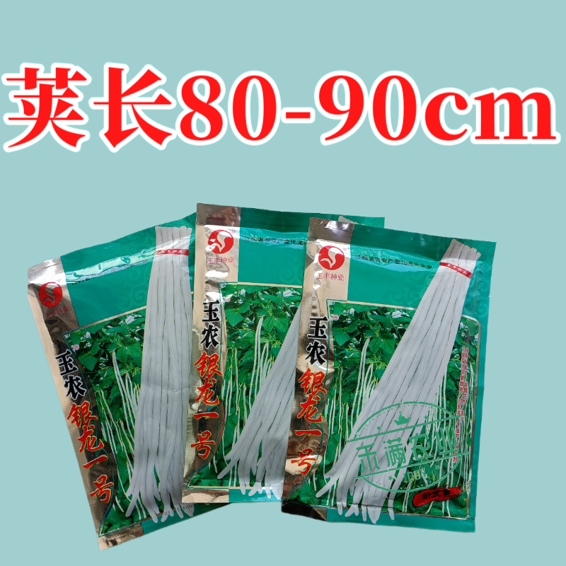 银龙一号白豆角种子白豇豆种籽春夏秋四季农家白早熟高产蔬菜