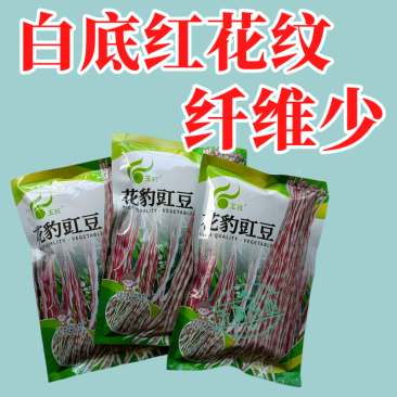 花纹花豹长豇豆豆角种子特色新品龙纹花豹缸豆种籽春秋高产架