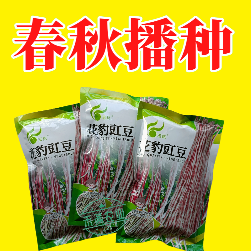 花纹花豹长豇豆豆角种子特色新品龙纹花豹缸豆种籽春秋高产架