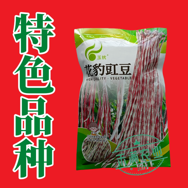 花纹花豹长豇豆豆角种子特色新品龙纹花豹缸豆种籽春秋高产架