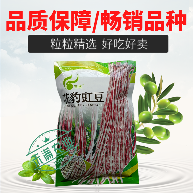 花纹花豹长豇豆豆角种子特色新品龙纹花豹缸豆种籽春秋高产架
