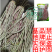 花纹花豹长豇豆豆角种子特色新品龙纹花豹缸豆种籽春秋高产架