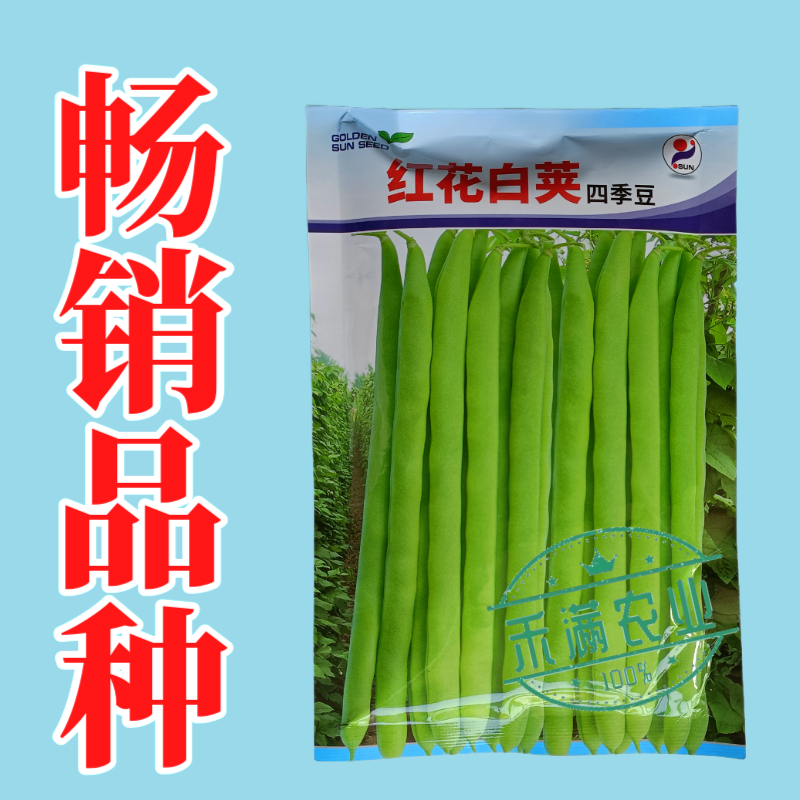 红花白荚四季豆种子农家高产无筋架豆早熟高产豆角蔬菜种