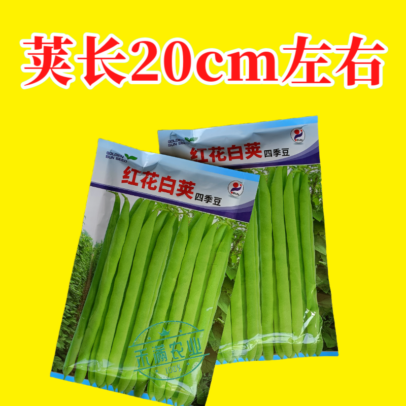 红花白荚四季豆种子农家高产无筋架豆早熟高产豆角蔬菜种