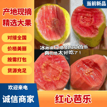 芭乐红心芭乐大量有货清甜可口品质优现摘现发基地直供