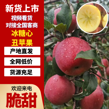 四川冰糖心丑苹果主电商社区团购一件代发咨询有优惠