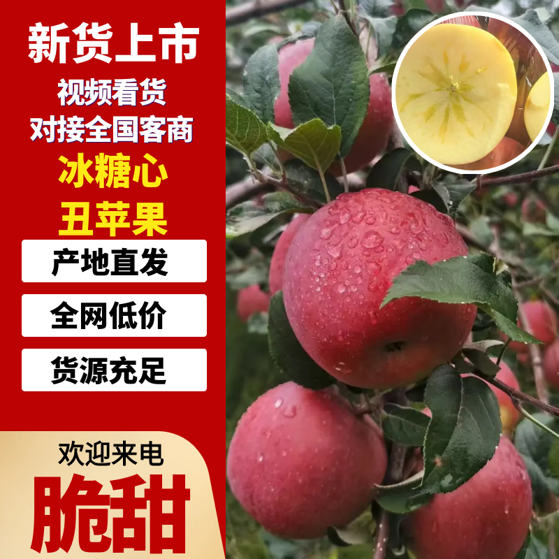 四川冰糖心丑苹果主电商社区团购一件代发咨询有优惠