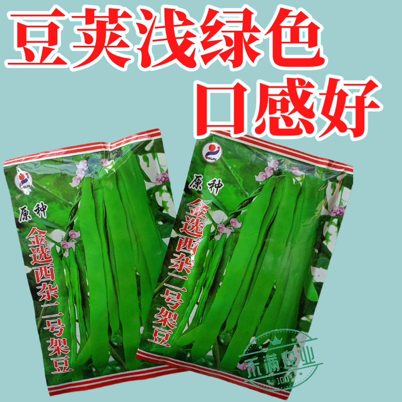 优质原种金选西杂二号架豆早熟豆荚扁形成熟豆荚嫩浅绿四季豆