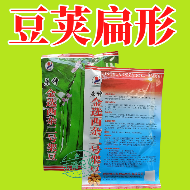 优质原种金选西杂二号架豆早熟豆荚扁形成熟豆荚嫩浅绿四季豆