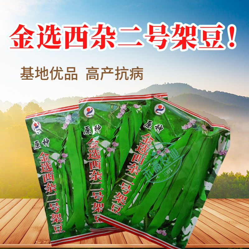优质原种金选西杂二号架豆早熟豆荚扁形成熟豆荚嫩浅绿四季豆