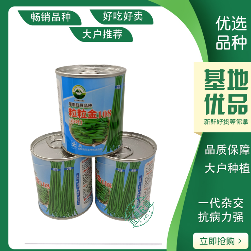 特长豆角种子高产早熟长豇豆角种子白豆角种籽菜园大田春秋播