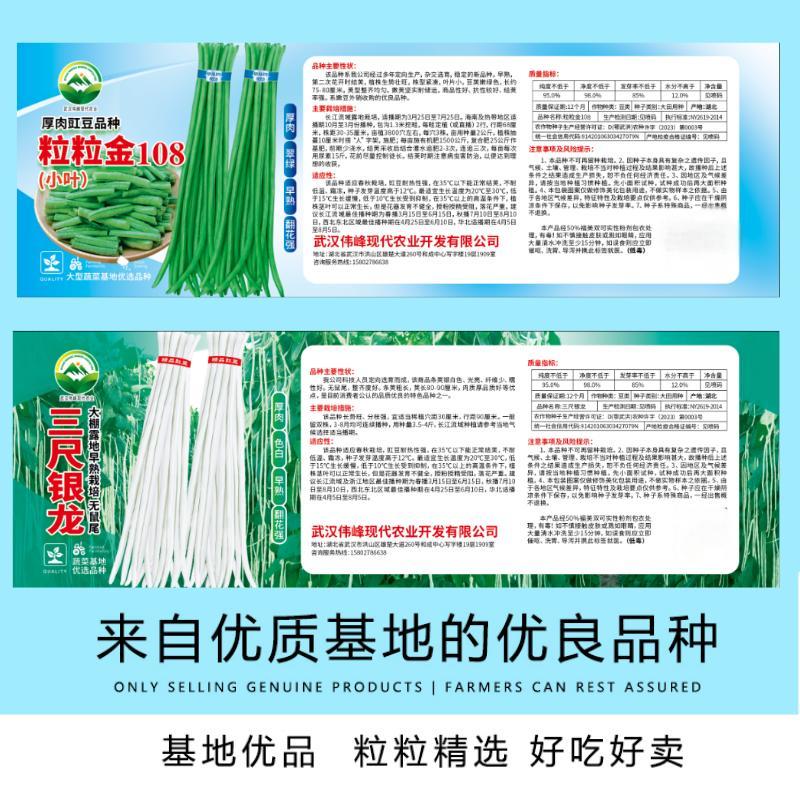 特长豆角种子高产早熟长豇豆角种子白豆角种籽菜园大田春秋播