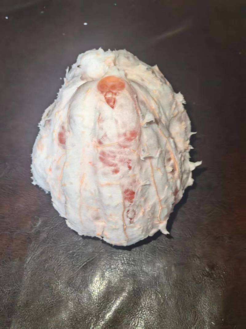 红心蜜柚协助装车皮薄易拨果肉多水分多好吃不贵