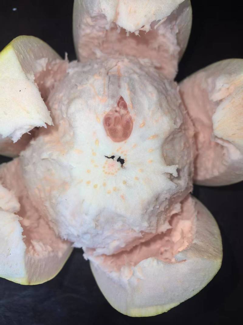 红心蜜柚协助装车皮薄易拨果肉多水分多好吃不贵