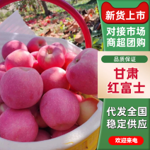 甘肃高原红富士苹果核心产区直供现摘现发欢迎来电咨询