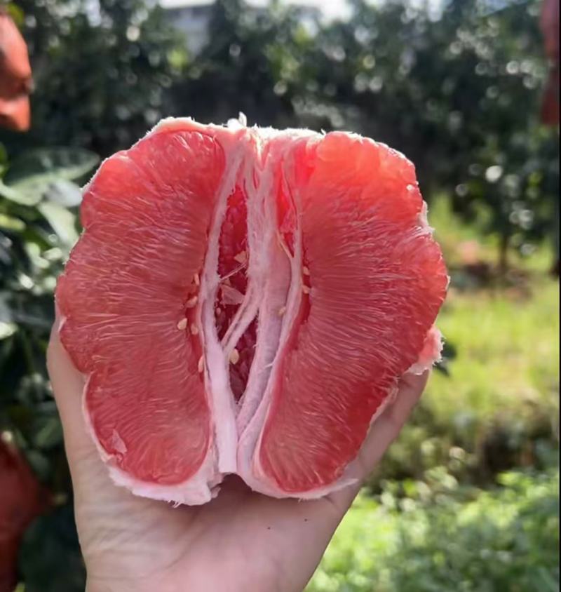 红心柚2蜜柚果肉多汁皮薄易剥价格合理要货联系
