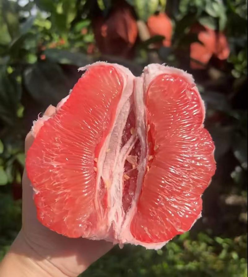 红心柚2蜜柚果肉多汁皮薄易剥价格合理要货联系